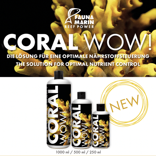 CORAL WOW! - 1000ml