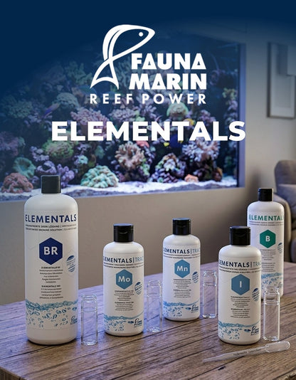 Fauna Marin ELEMENTALS B - 1000ml